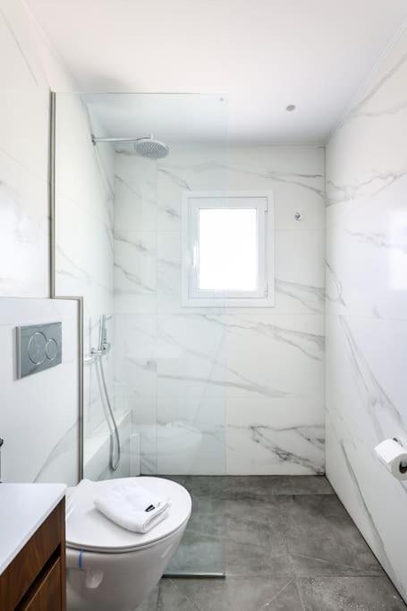 אתונה Blue Delta Apartment Palaio Faliro מראה חיצוני תמונה